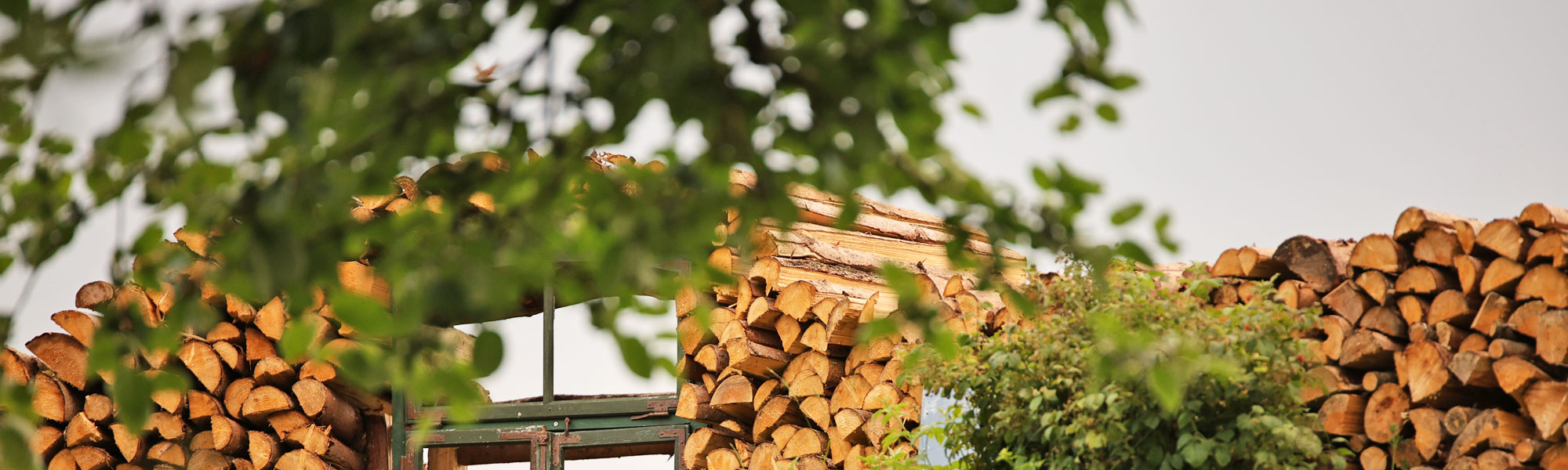 Header Biehlerhof Ferienh�user und Ferienwohnungen